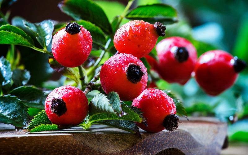 масло от шипка