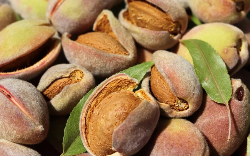 масло от сладък бадем