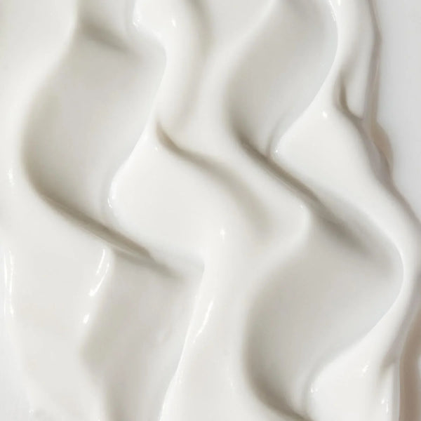 The Absolute Moisturizer